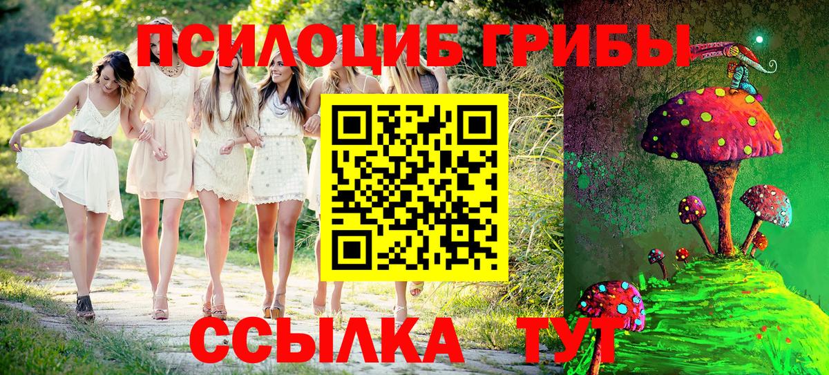 Димитровград  Галлюциногенные грибы Magic Shrooms  Вход с VPN 