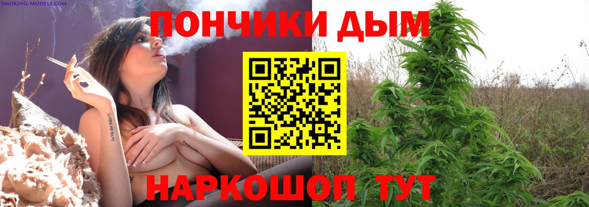 Бошки Шишки планчик Димитровград
